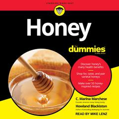 Honey For Dummies Audiobook, by Howland Blackiston