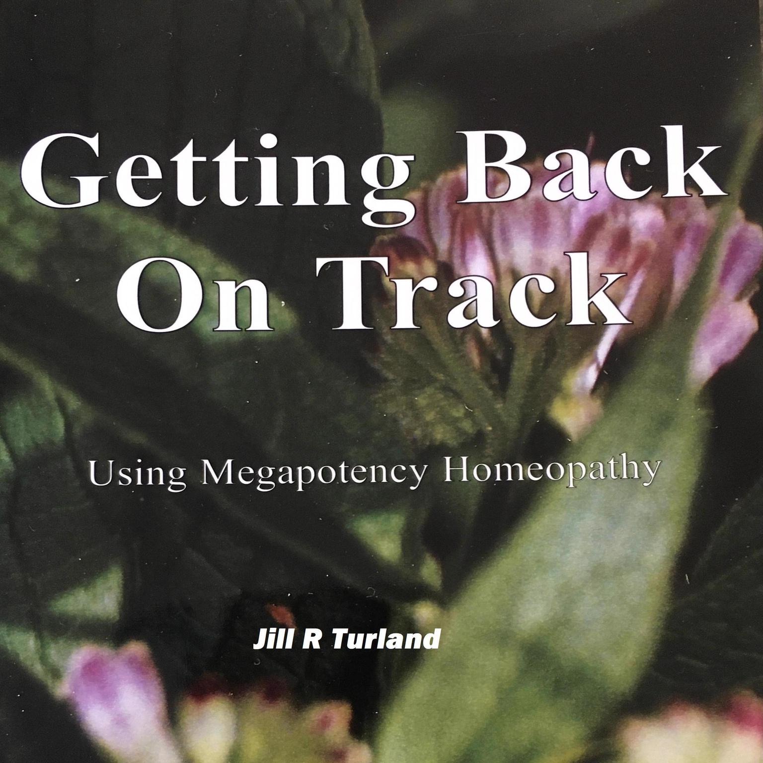 Getting Back On Track Audiobook, by Jill R Turland