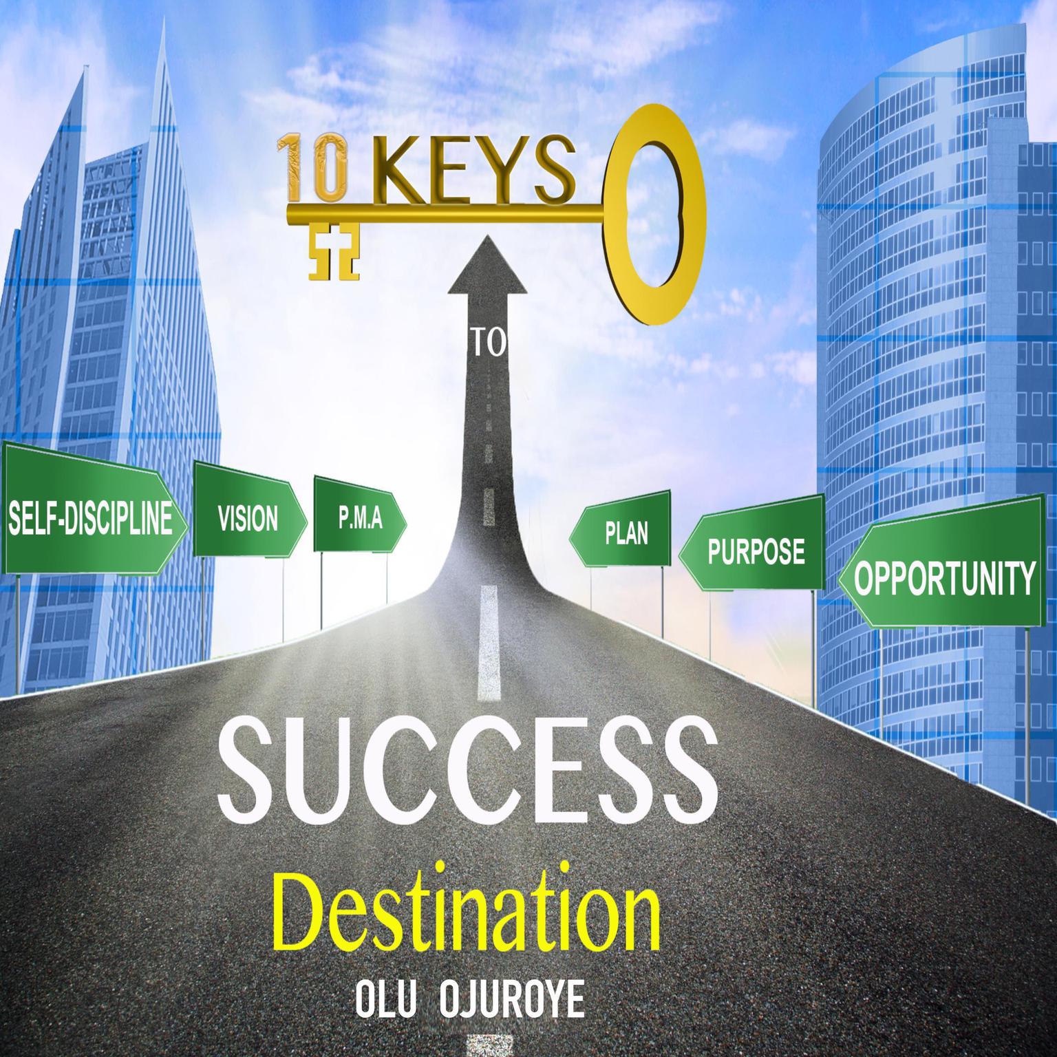 10 Keys To Success Destination (Abridged) Audiobook, by Olu Ojuroye