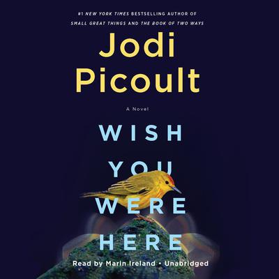 Wish You Were Here: A Novel Audiobook, by Jodi Picoult