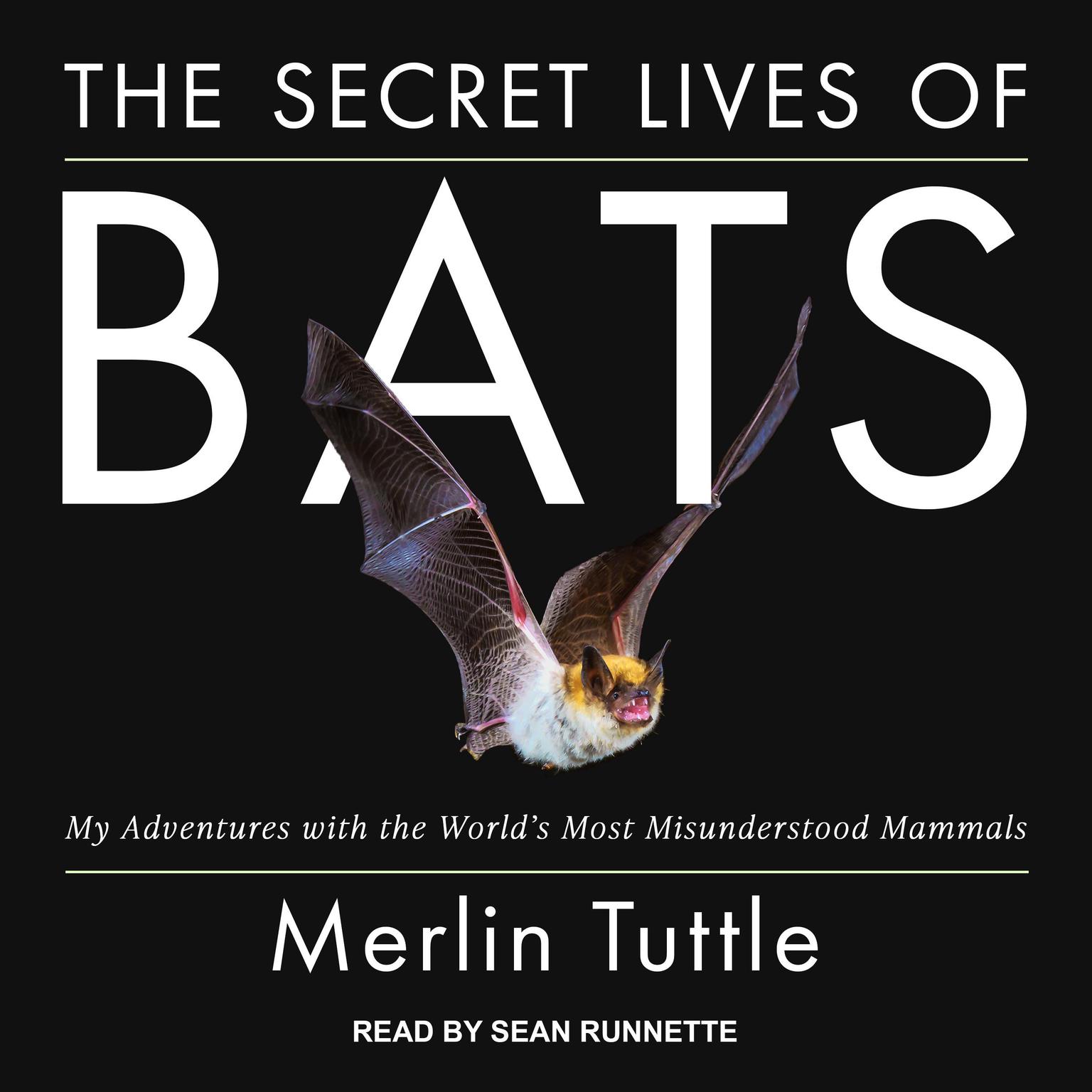 The Secret Lives of Bats: My Adventures with the Worlds Most Misunderstood Mammals Audiobook, by Merlin Tuttle