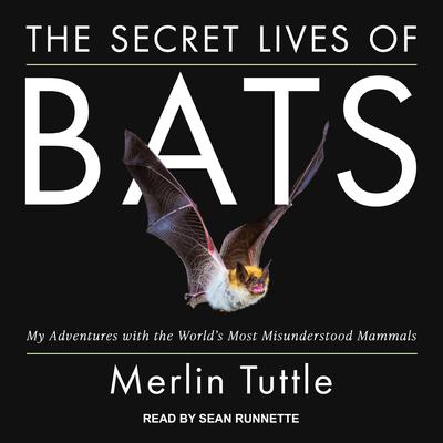 The Secret Lives of Bats: My Adventures with the World's Most Misunderstood Mammals Audiobook, by 