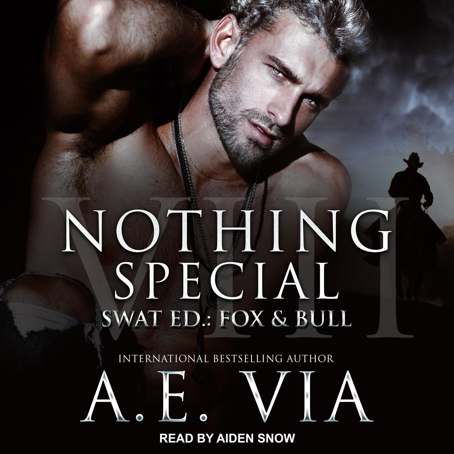 Nothing Special VIII: SWAT Ed.: Fox & Bull Audiobook, by A.E. Via