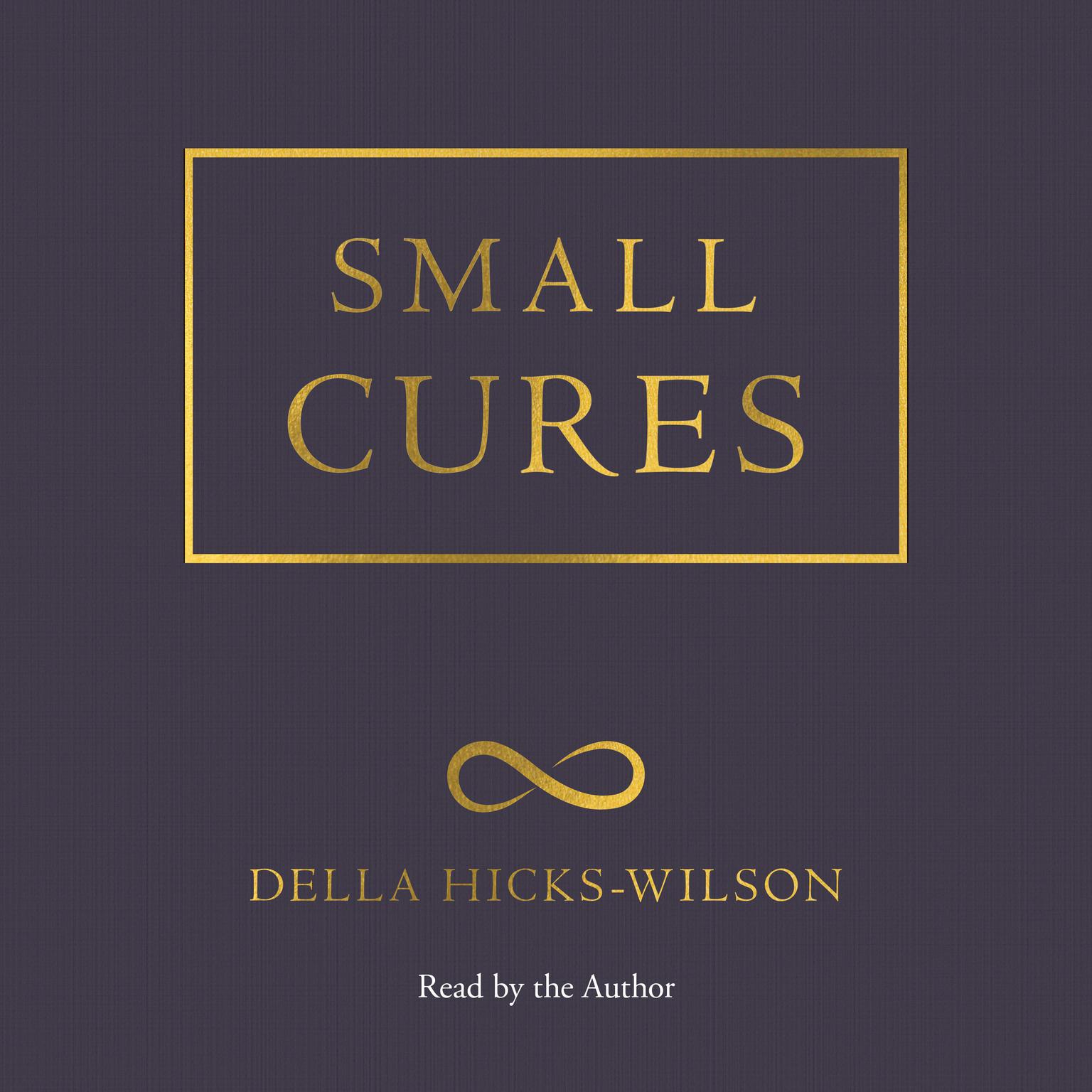 Small Cures Audiobook, by Della Hicks-Wilson