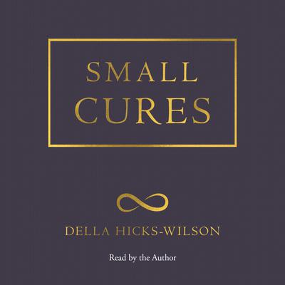 Small Cures Audiobook, by Della Hicks-Wilson