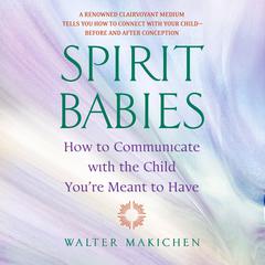Spirit Babies: How to Communicate with the Child Youre Meant to Have Audiobook, by Walter Makichen