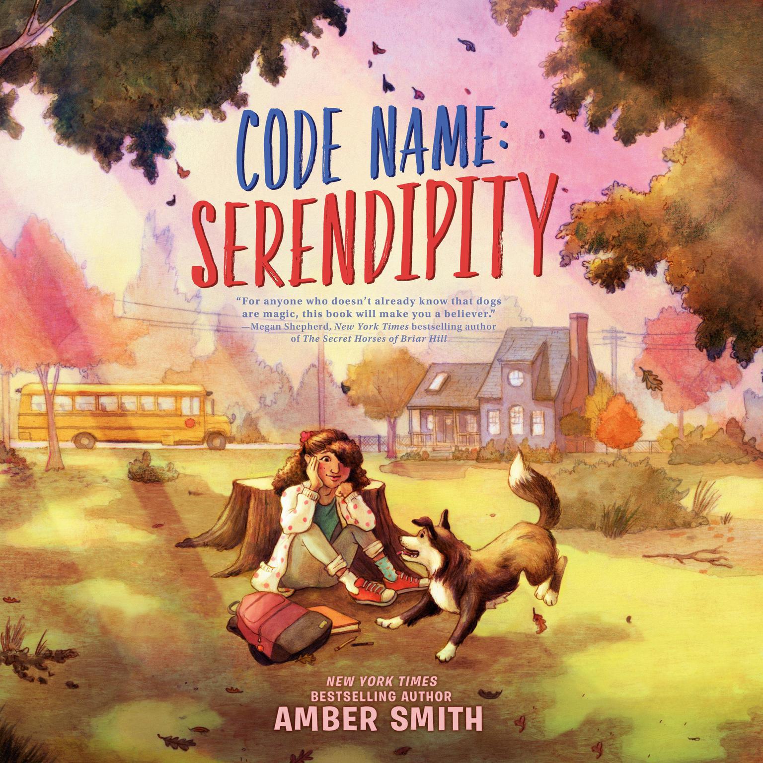 Code Name: Serendipity Audiobook, by Amber Smith
