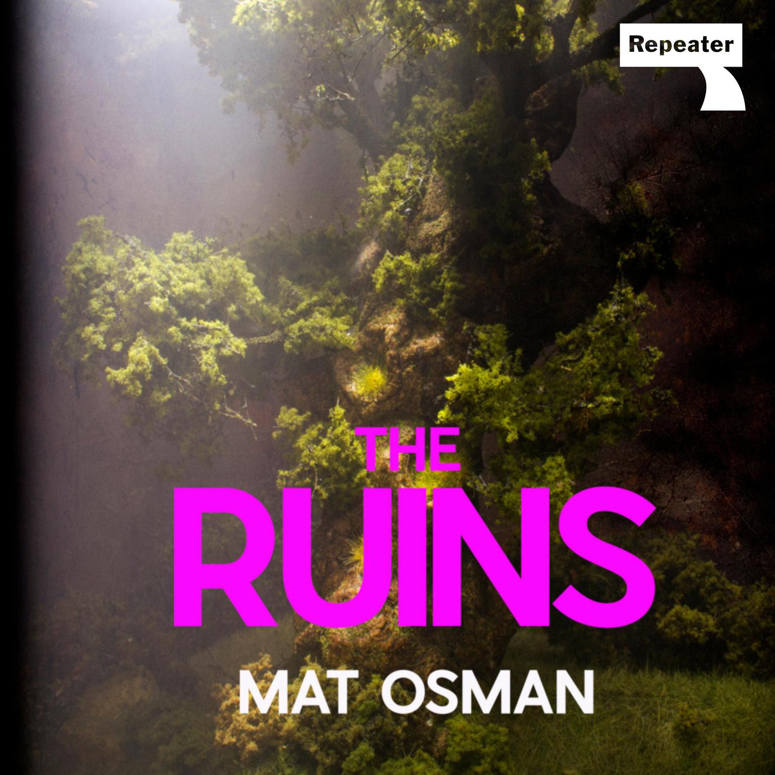 The Ruins Audiobook, by Mat Osman