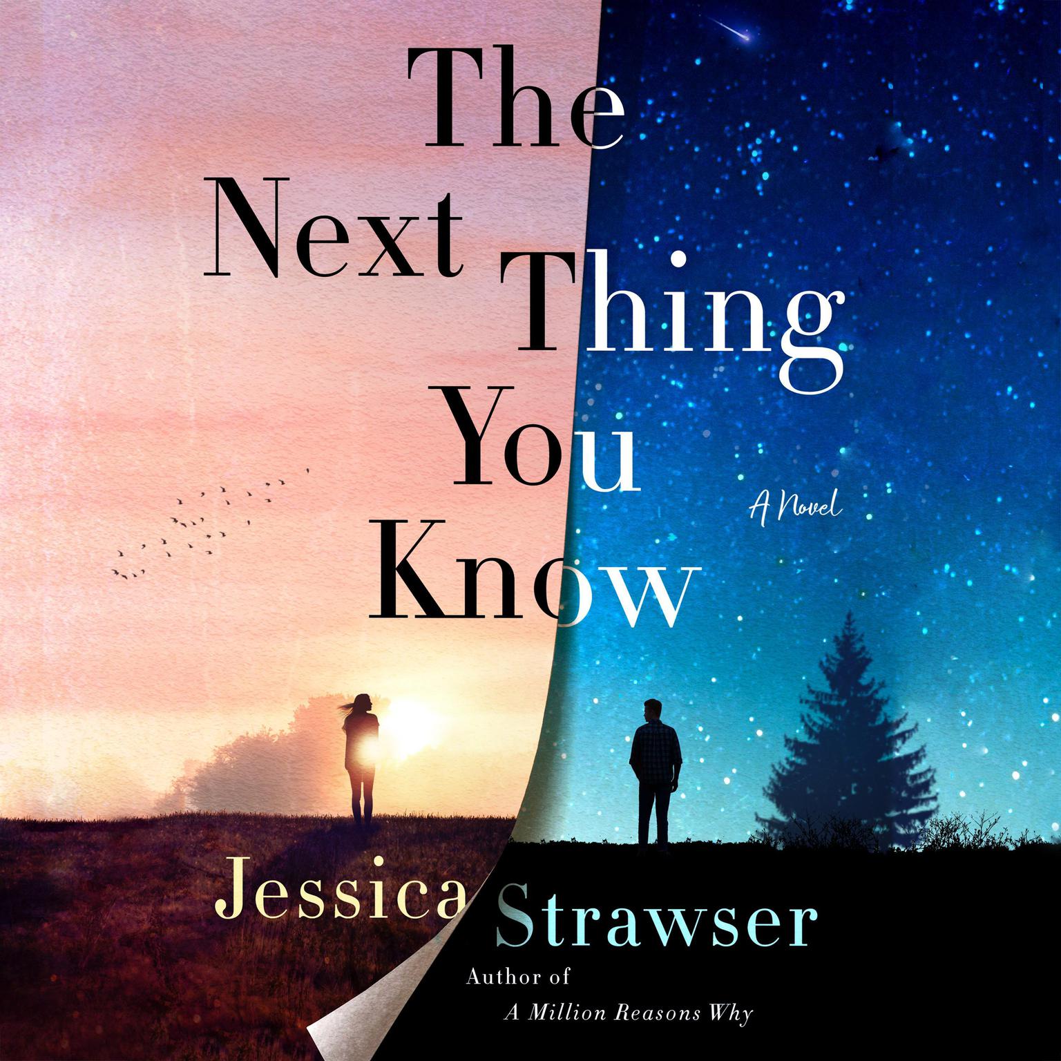 The Next Thing You Know: A Novel Audiobook, by Jessica Strawser