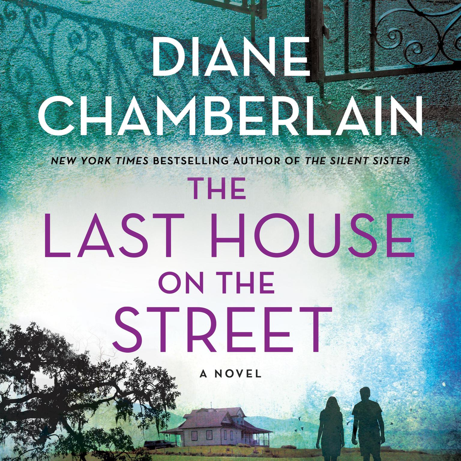 The Last House on the Street: A Novel Audiobook, by Diane Chamberlain