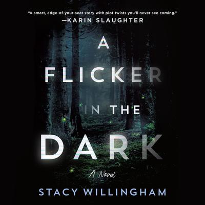 A Flicker in the Dark: A Novel Audiobook, by 
