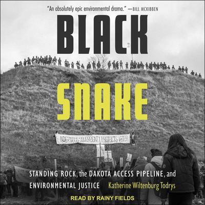 Black Snake: Standing Rock, the Dakota Access Pipeline, and Environmental Justice Audiobook, by Katherine Wiltenburg Todrys