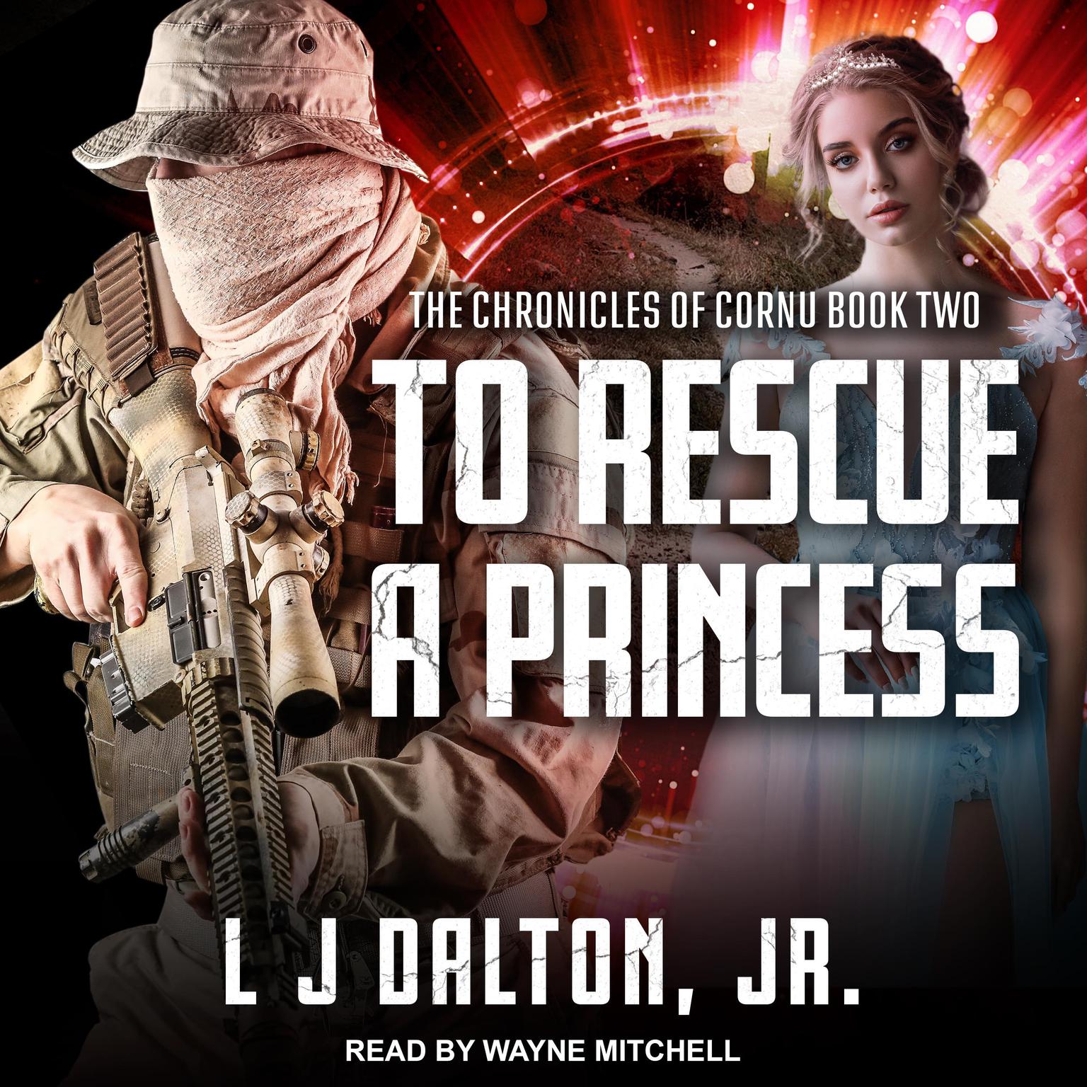 To Rescue A Princess Audiobook, by L J Dalton