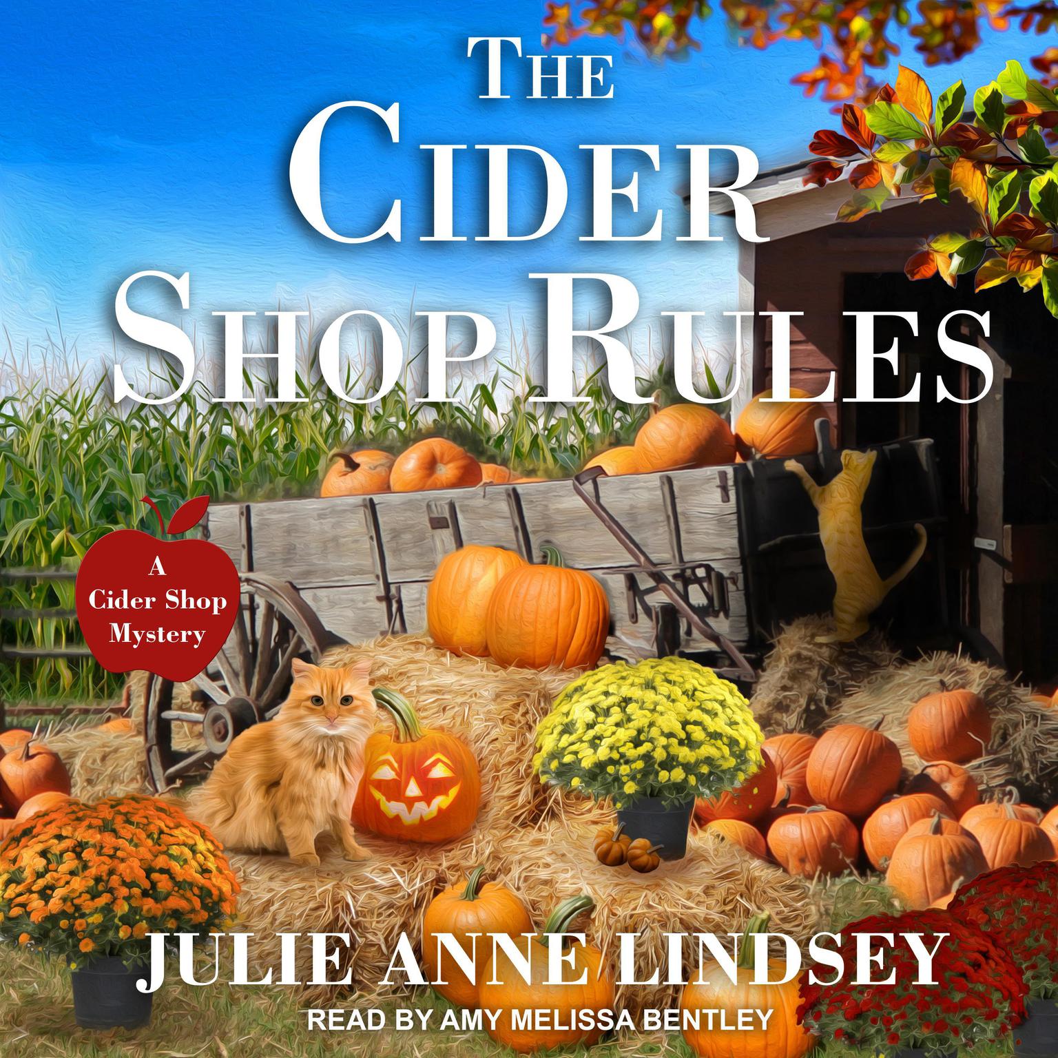 The Cider Shop Rules Audiobook, by Julie Ann Lindsey