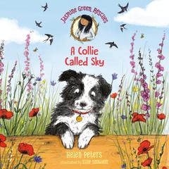 Jasmine Green Rescues: A Collie Called Sky Audiobook, by Helen Peters
