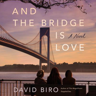 And the Bridge Is Love: A Novel Audiobook, by David Biro