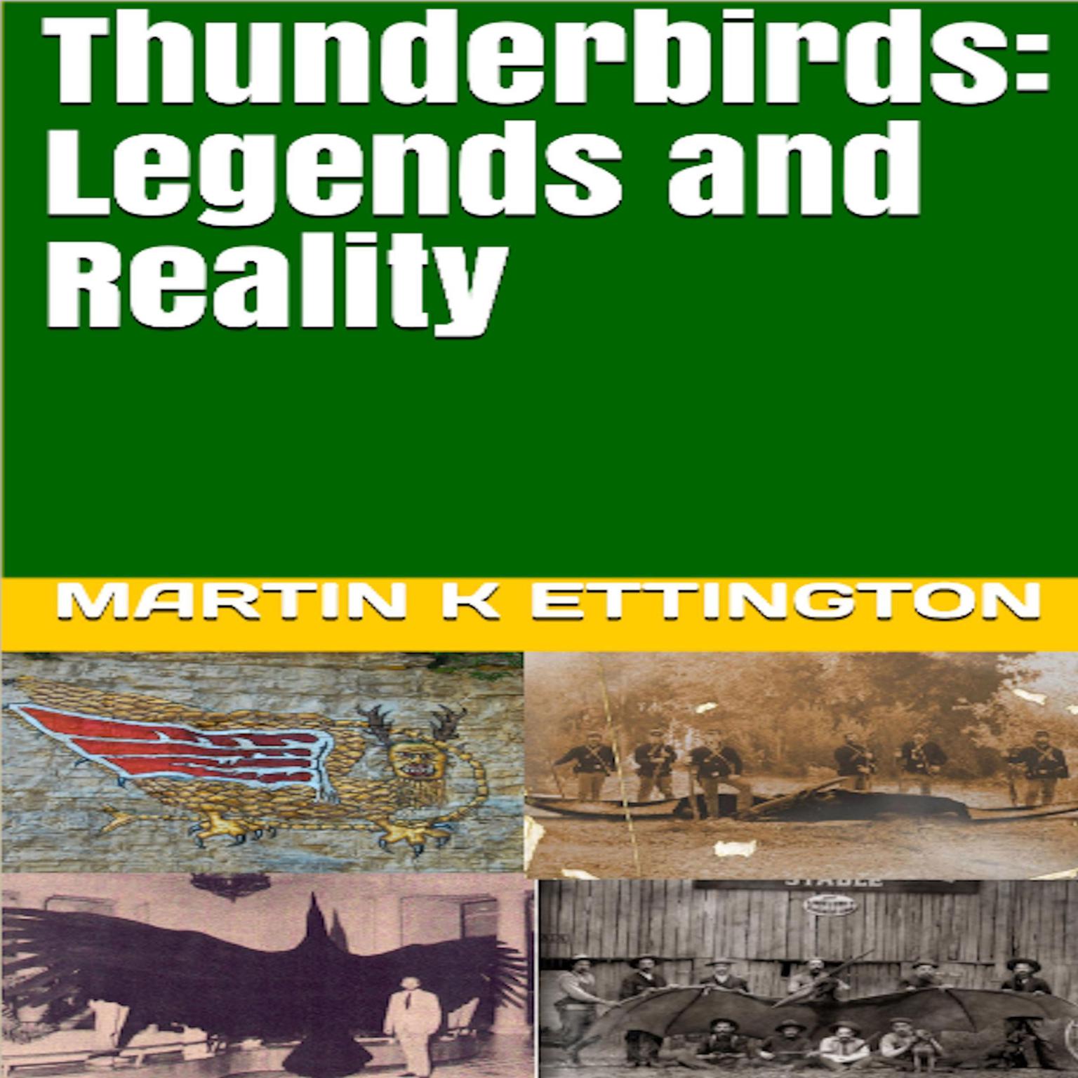 Thunderbirds: Legends and Reality Audiobook, by Martin K. Ettington