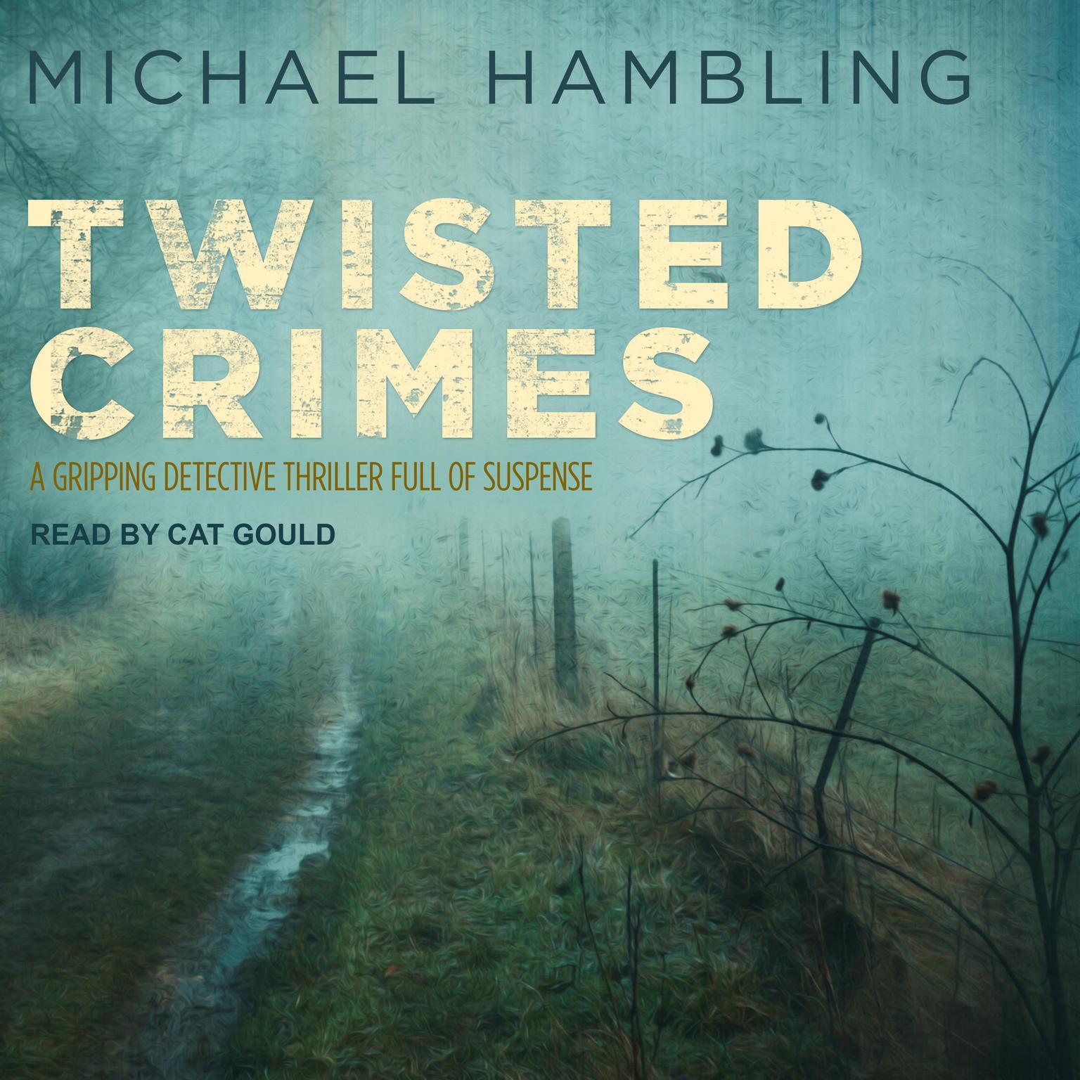 Twisted Crimes Audiobook, by Michael Hambling