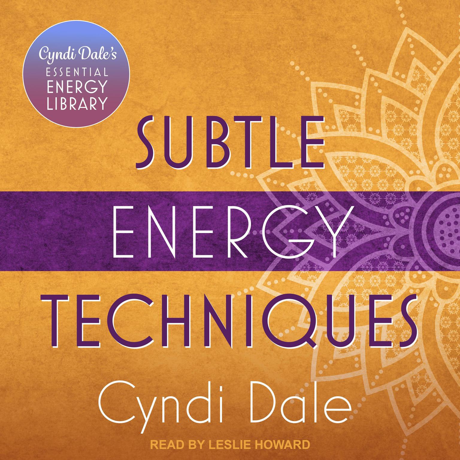 Subtle Energy Techniques Audiobook, by Cyndi Dale