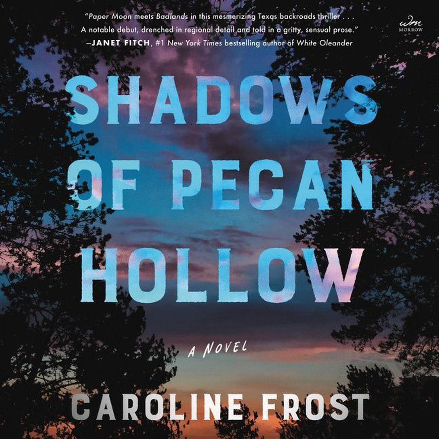 Shadows of Pecan Hollow: A Novel Audiobook, by Caroline Frost