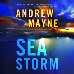 Sea Storm Audiobook, by Andrew Mayne