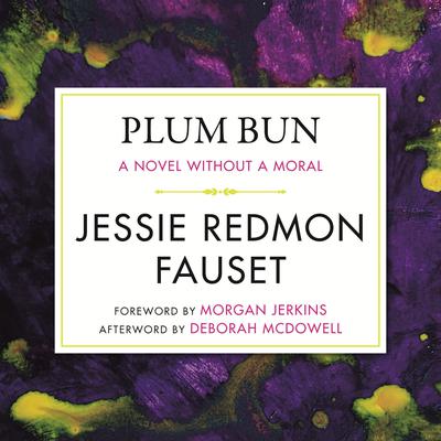 Plum Bun: A Novel without a Moral Audiobook, by Jessie Redmon Fauset