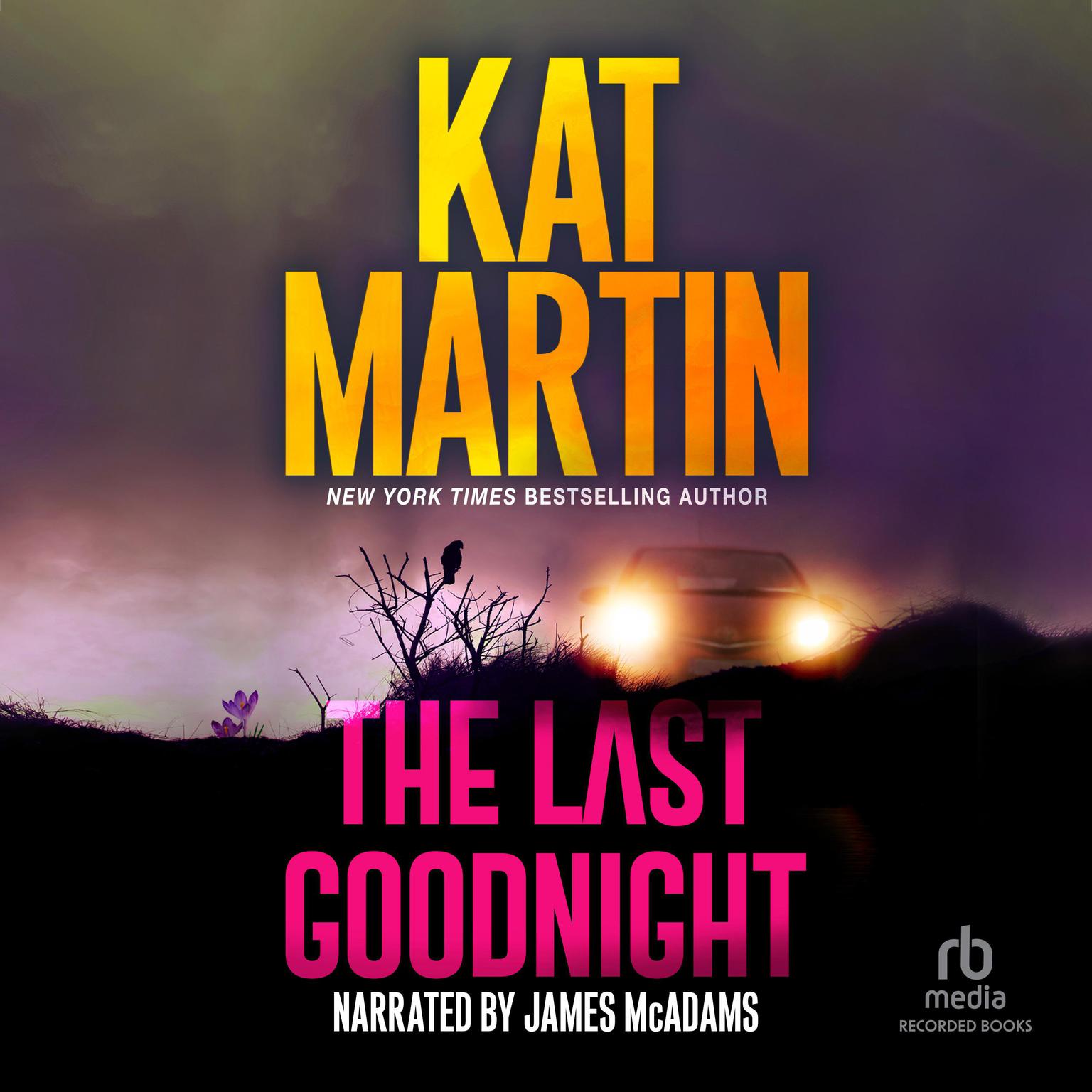 The Last Goodnight Audiobook, by Kat Martin