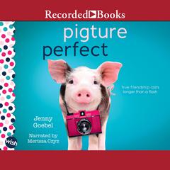 Pigture Perfect: A Wish Novel Audiobook, by Jenny Goebel