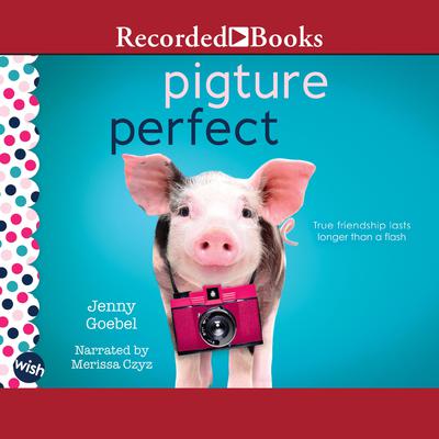 Pigture Perfect: A Wish Novel Audiobook, by Jenny Goebel