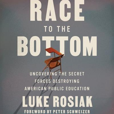 Race to the Bottom: Uncovering the Secret Forces Destroying American Public Education Audiobook, by Luke Rosiak