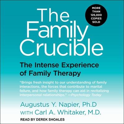 The Family Crucible: The Intense Experience of Family Therapy Audiobook, by Augustus Y. Napier