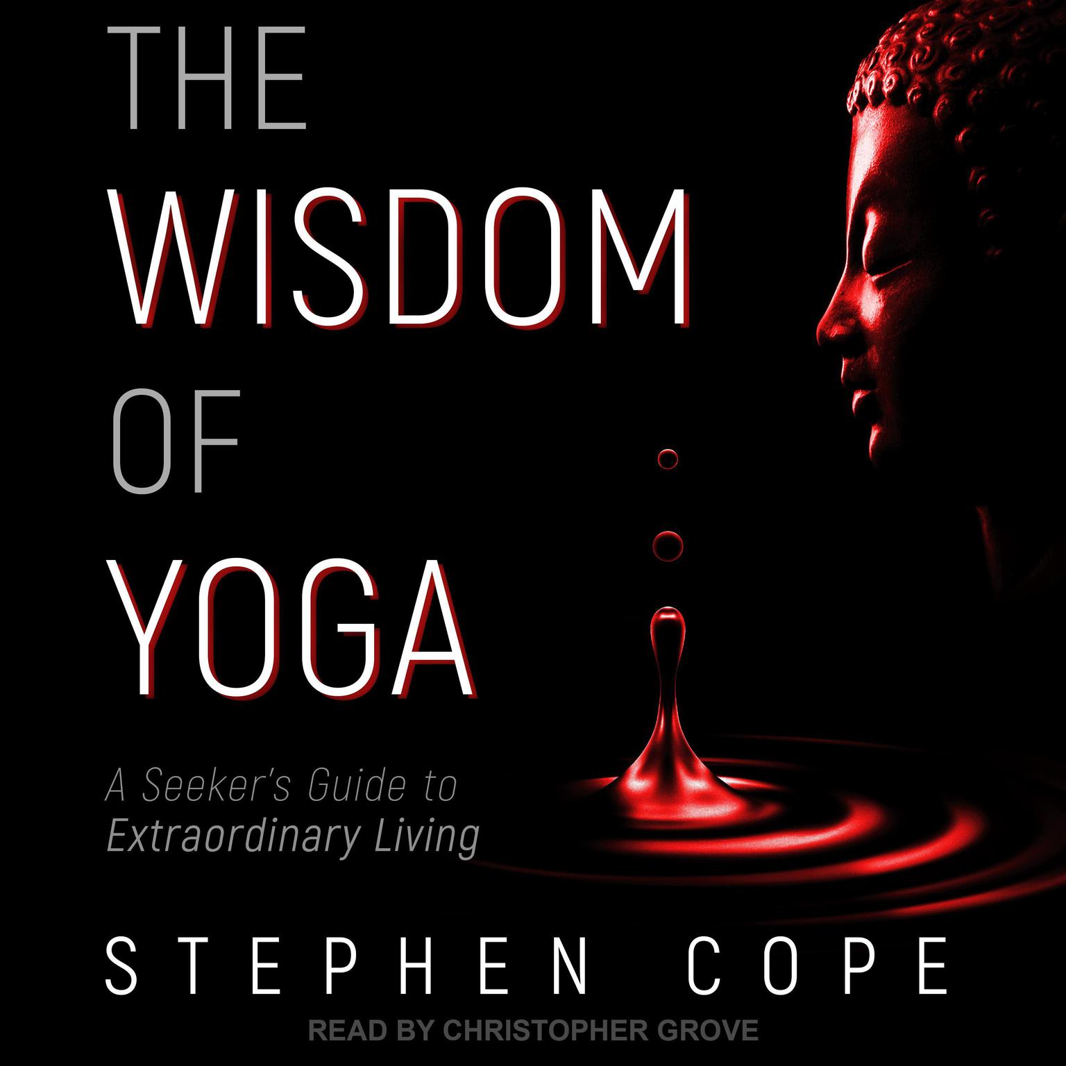 The Wisdom of Yoga: A Seekers Guide to Extraordinary Living Audiobook, by Stephen Cope