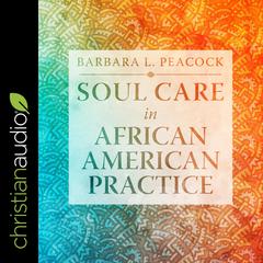 Soul Care in African American Practice Audiobook, by Barbara Peacock