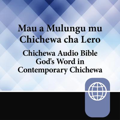 Chichewa Audio Bible - Gods Word in Contemporary Chichewa Audiobook, by Zondervan