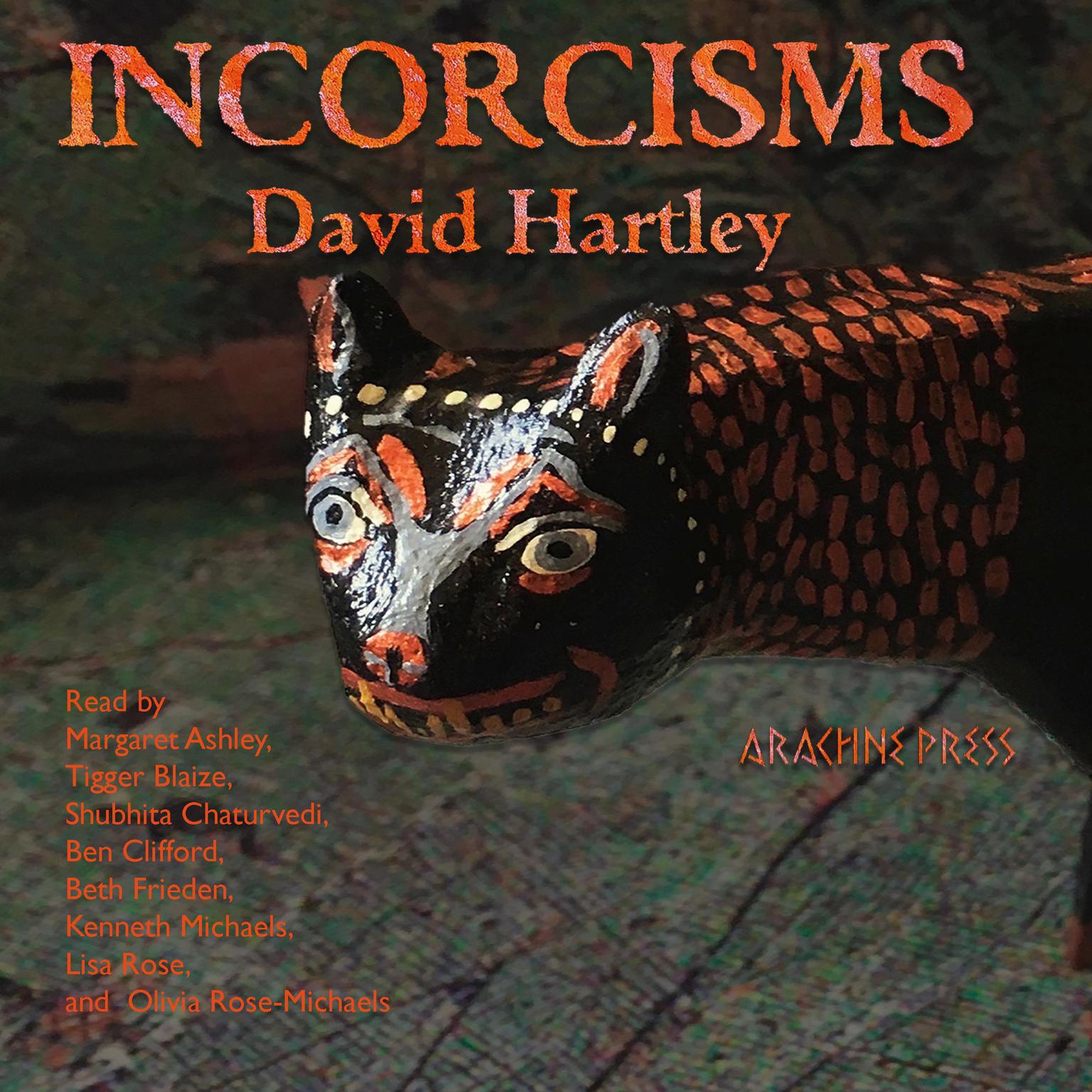 Incorcisms: Strange Short Stories Audiobook, by David Hartley