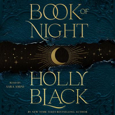 Book of Night Audiobook, by Holly Black