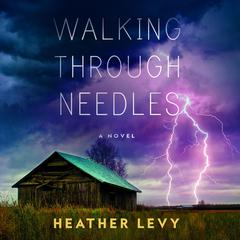 Walking Through Needles Audiobook, by Heather Levy