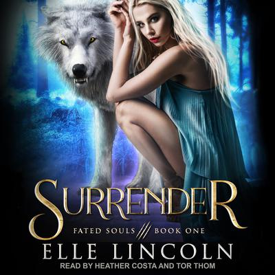 Surrender Audiobook, by Elle Lincoln