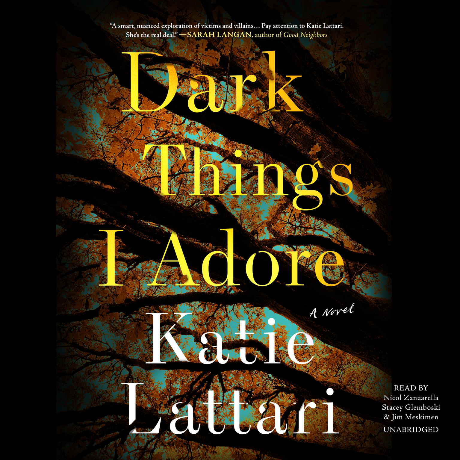 Dark Things I Adore Audiobook, by Katie Lattari