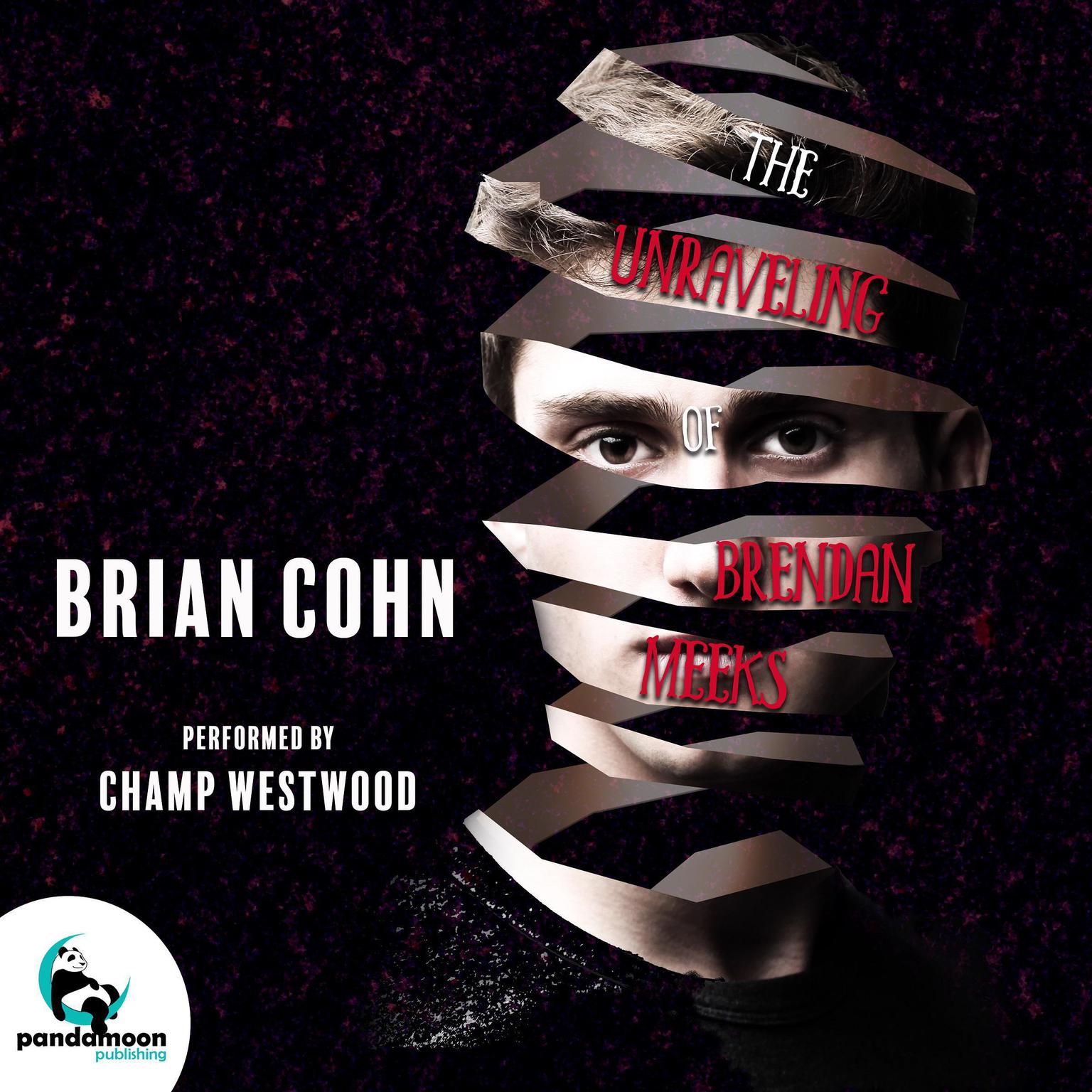 The Unraveling of Brendan Meeks Audiobook, by Brian Cohn