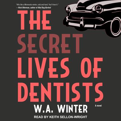 The Secret Lives of Dentists Audiobook, by W.A. Winter