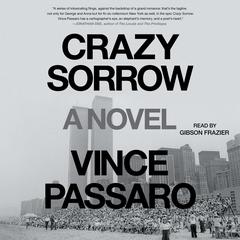Crazy Sorrow Audiobook, by Vince Passaro