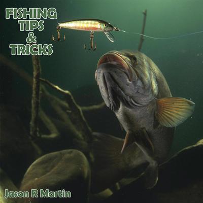 Fishing Tips & Tricks Audiobook, by Jason R Martin