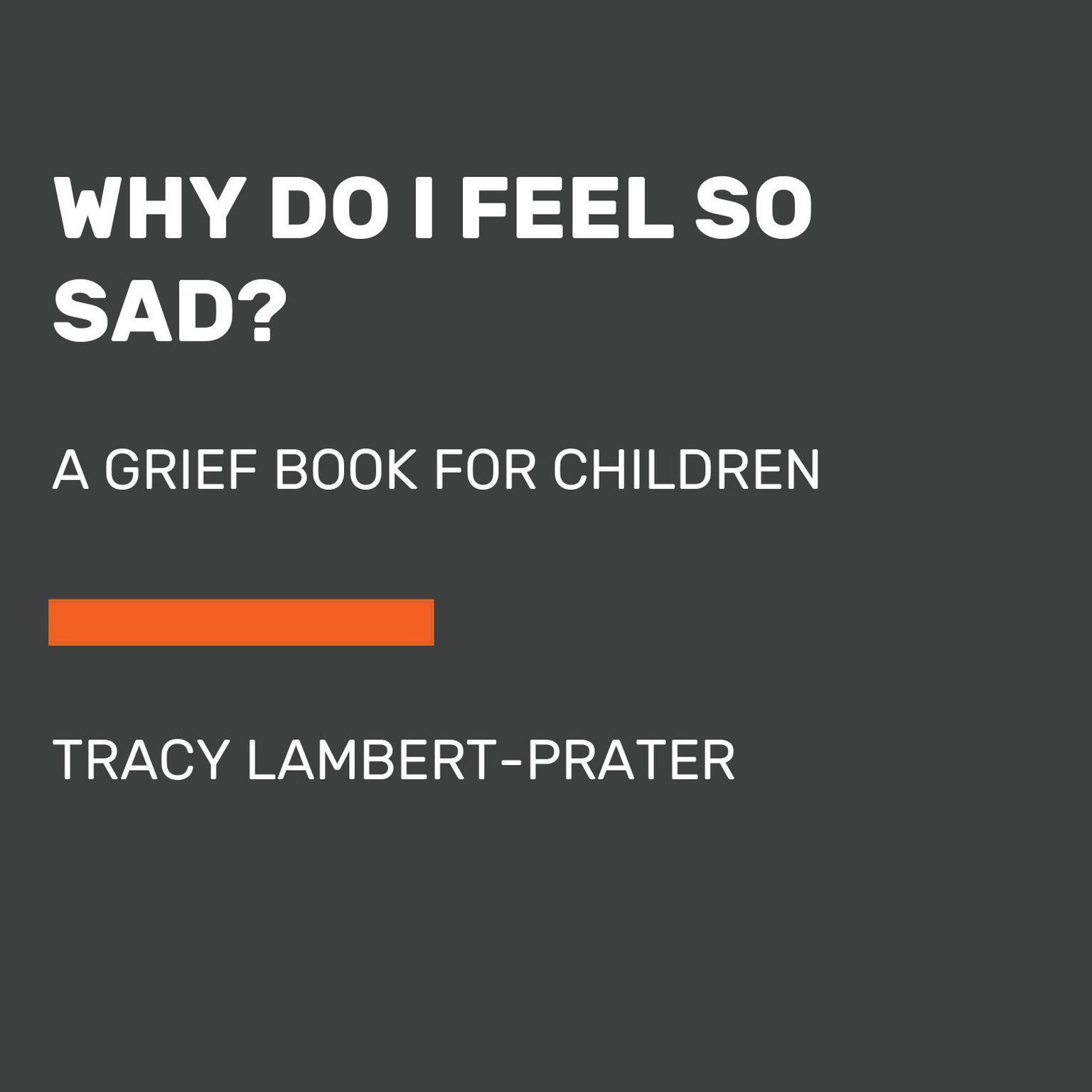 Why Do I Feel So Sad?: A Grief Book for Children Audiobook, by Tracy Lambert