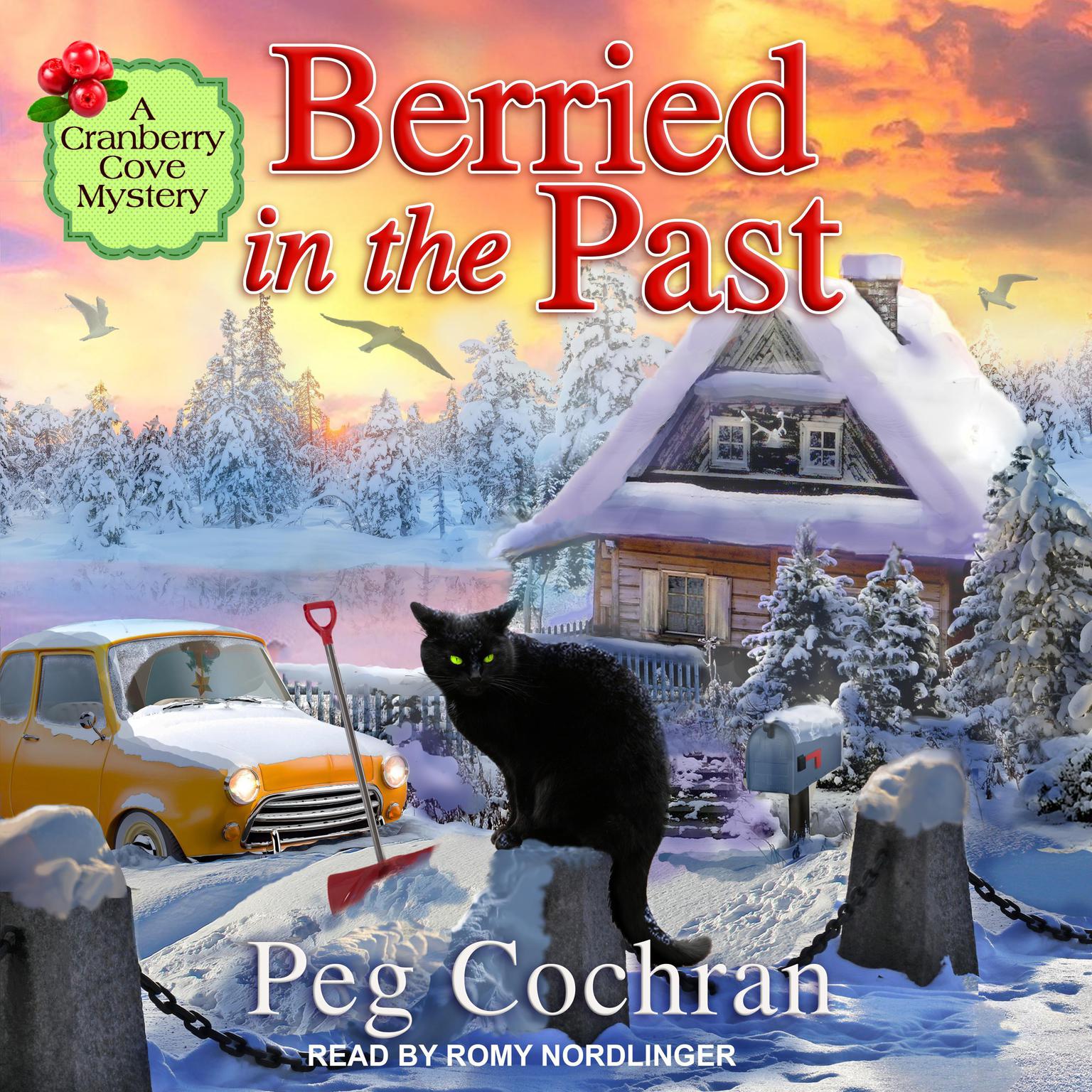 Berried in the Past Audiobook, by Peg Cochran