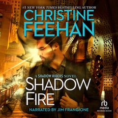 Shadow Fire Audiobook, by 