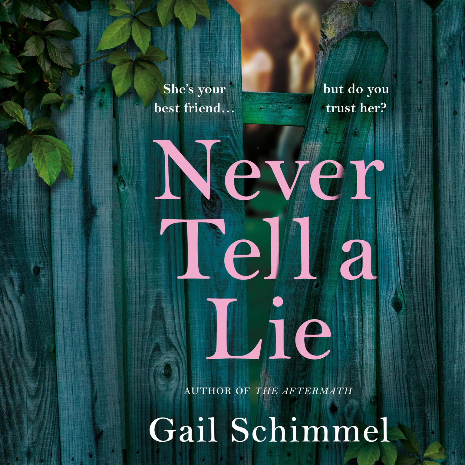 Never Tell A Lie Audiobook, by Gail Schimmel