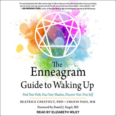 The Enneagram Guide to Waking Up: Find Your Path, Face Your Shadow, Discover Your True Self Audiobook, by Beatrice Chestnut