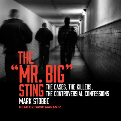 The Mr. Big Sting: The Cases, the Killers, the Controversial Confessions Audiobook, by Mark Stobbe