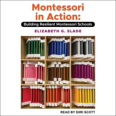 Montessori in Action: Building Resilient Montessori Schools Audiobook, by Elizabeth G. Slade